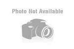 Go to mongofiles mongofiles logo